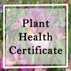 PLANT HEALTH CERTIFICATE